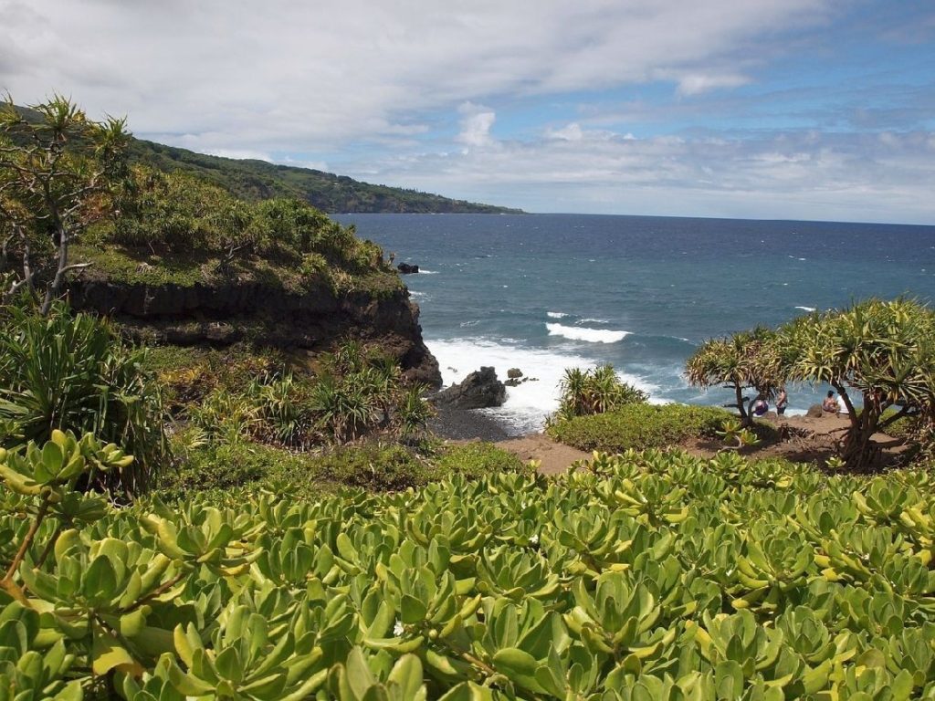 Maui Insel Hawaii